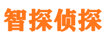 南川私人侦探